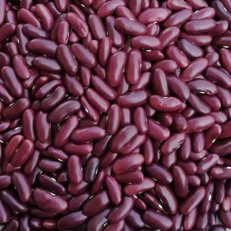 Beans
